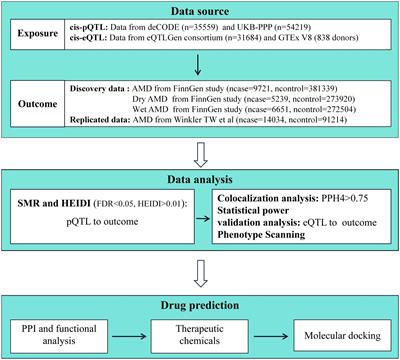 Therapeutic targets for age-related macular degeneration: proteome-wide Mendelian randomization and colocalization analyses